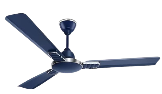 whatsapp image 2026 01 12 at 2.31.52 pm removebg preview